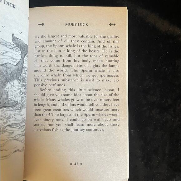 Moby Dick by Herman Melville | 2012 | Junior Classic for Young Readers - Picture 8 of 10